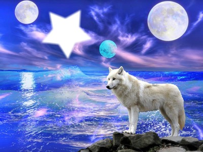 loup blanc Fotomontáž