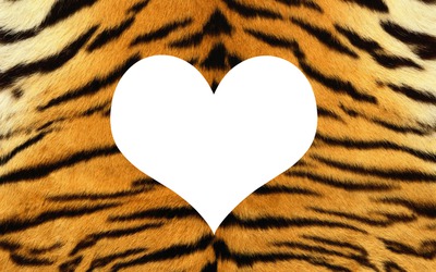 tiger heart Montage photo