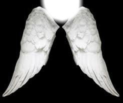 ailes d'ange Photomontage