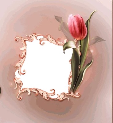 marco y tulipán rojo. Fotomontage