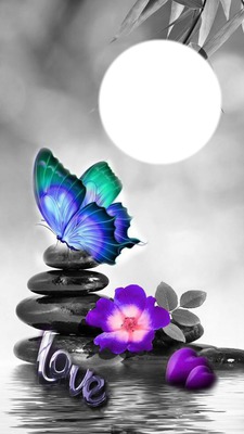 love & butterfly Photomontage
