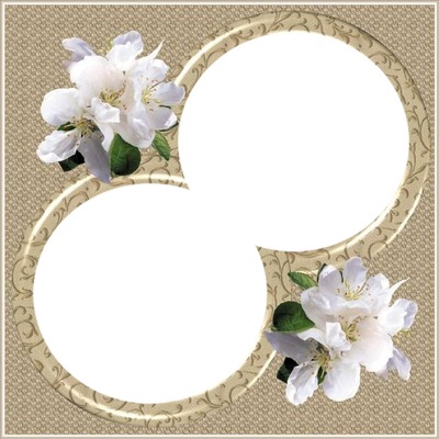 marco circular y flores blancas, 2 fotos.