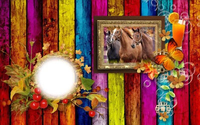 Cadre chevaux Fotomontage