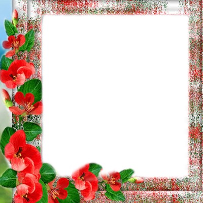 marco y flores rojas. Photomontage