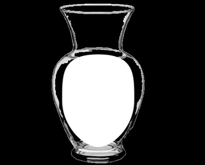 vase Photomontage