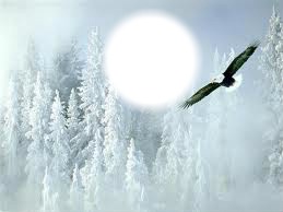 neige et aigle Фотомонтаж