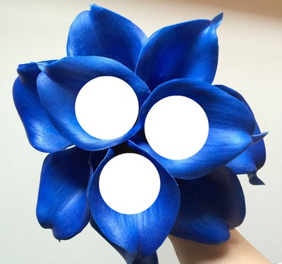 blue calla lilly Φωτομοντάζ