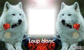 loup Photomontage