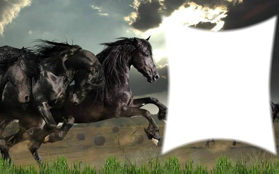 chevaux Photomontage