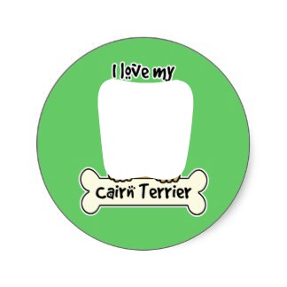 love cairn terrier Fotomontáž