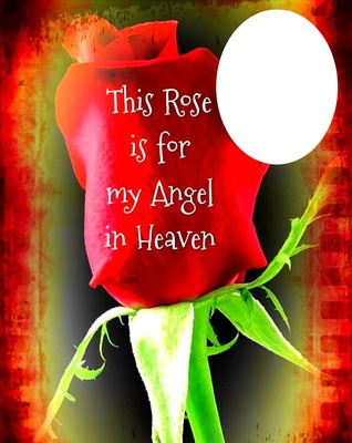angel rose Fotomontasje