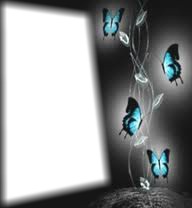 butterflies Photo frame effect