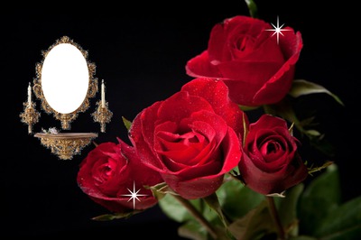 Cadre rose rouge Fotomontáž