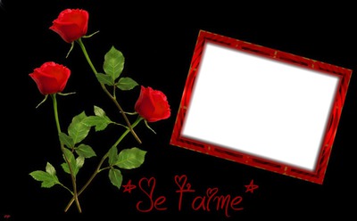 St valentin Fotomontage