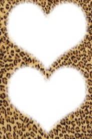 Coeur léopard Fotomontasje