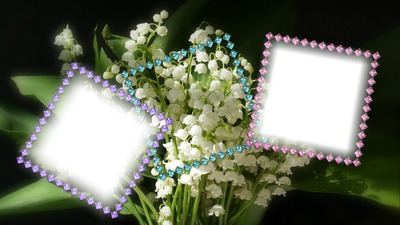 Cadre fleurs Fotomontaż