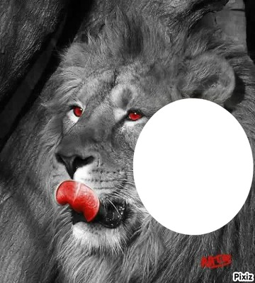 lion2 Fotomontaż