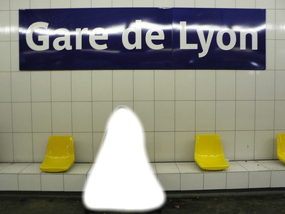 Station de Métro Gare de Lyon Photo frame effect