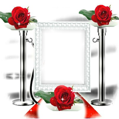 Roses rouge Fotomontagem