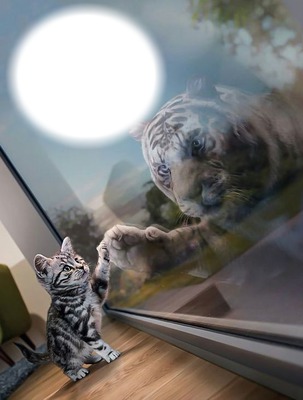Chat-tigre Photomontage