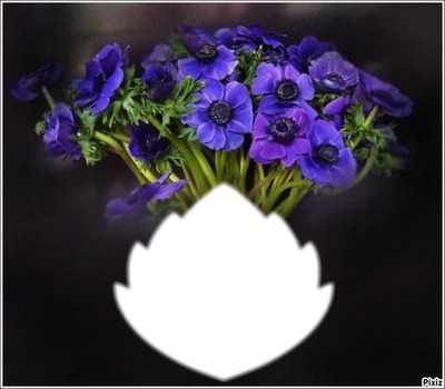 *Trés fleurs bleue* Montage photo