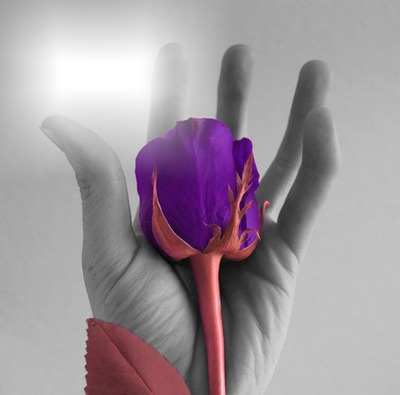 main en fleur Fotomontagem