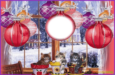 Cartes de Noël Photo frame effect