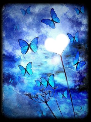 papillons bleus Montage photo