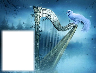 Musique-harpe-oiseau-nuit フォトモンタージュ