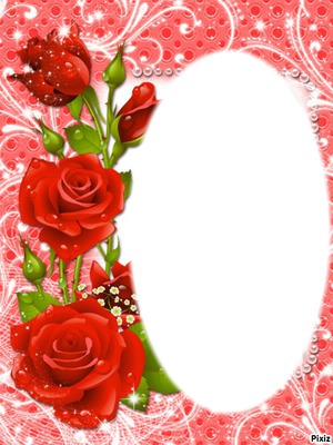 Rose rouge 3 Photomontage