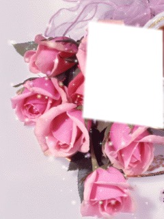 cadre roses Fotomontage