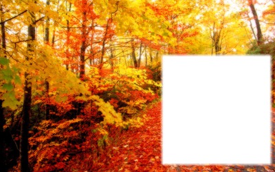 Fall Leaves Fotomontage