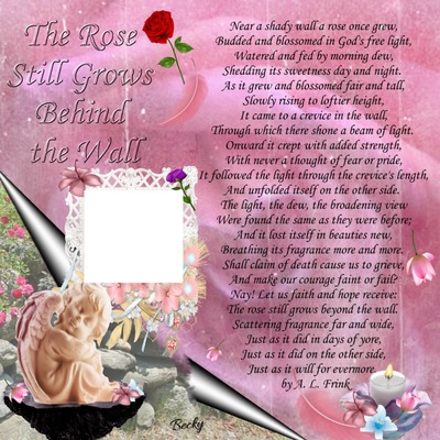 the rose still grows behind the wall Photomontage