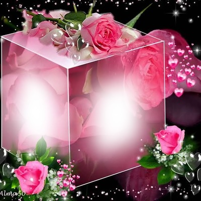 Cubo Rosa! By*Maria Ribeiro* Photo frame effect