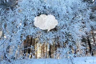 зима Photo frame effect