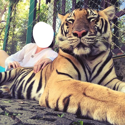 tete tigre Photomontage