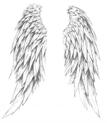 wings Fotomontage