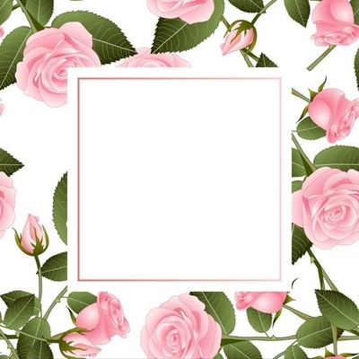 rosas rosadas. Fotomontage