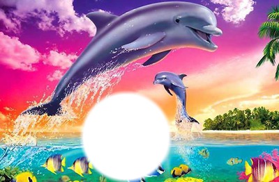 dauphins Фотомонтаж