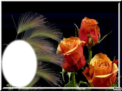 3 roses* Fotomontaggio