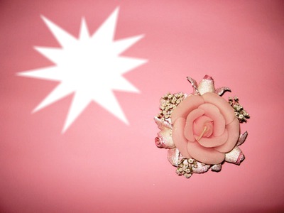 flor rosa Fotomontaggio