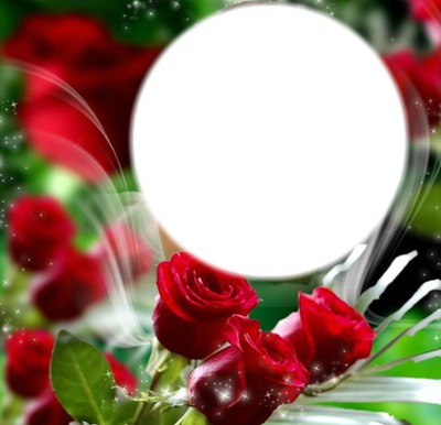 Roses rouge passion Montage photo