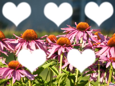 Flower love Photo frame effect