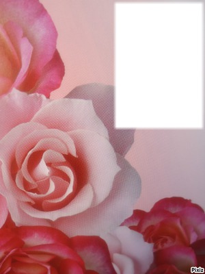 cadre fleur Fotomontage