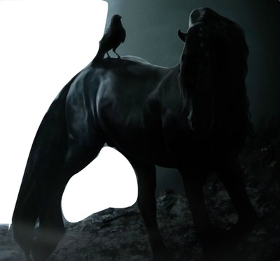 cheval noir Photomontage