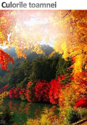 autumn Fotomontáž