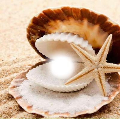 beautiful pearl Photo frame effect