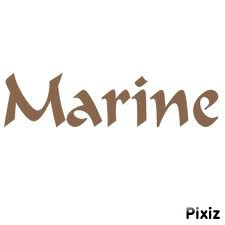 marine Fotomontasje
