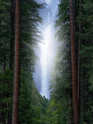 #forest #landscape, #waterfall Fotomontage