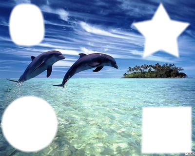 dauphins Fotomontáž